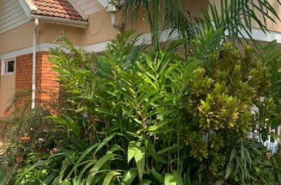 4 Bedrooms House For Sale In Ntinda 24 Decimals